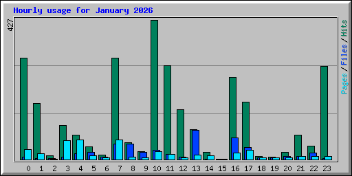 Hourly usage for January 2026