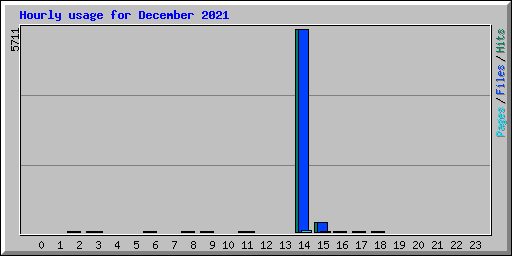Hourly usage for December 2021
